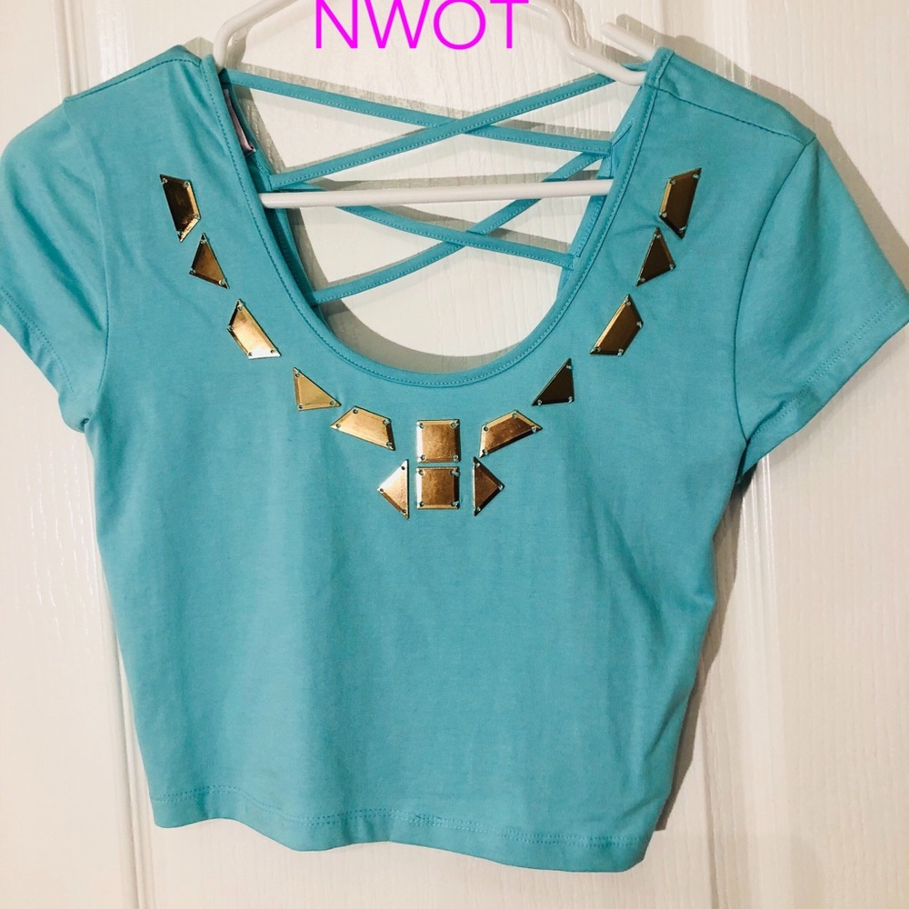 Bongo light pastel green crop top with gold tone